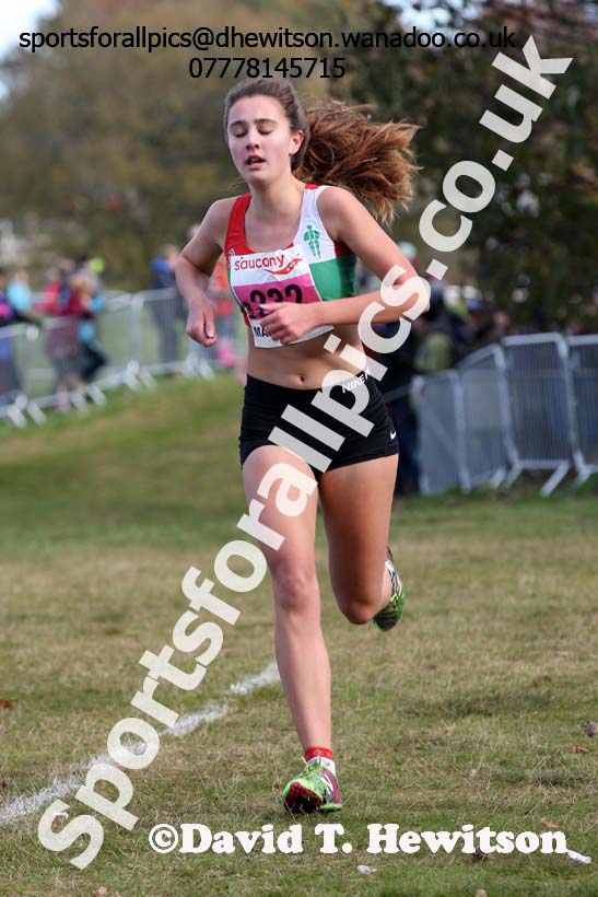 Junior women, 2016 National Cross Cpuntry Relays, Berry Hill Park, Mansfield. Photo: David T. Hewitson/Sports for All Pics